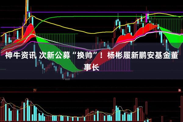 神牛资讯 次新公募“换帅”！杨彬履新鹏安基金董事长